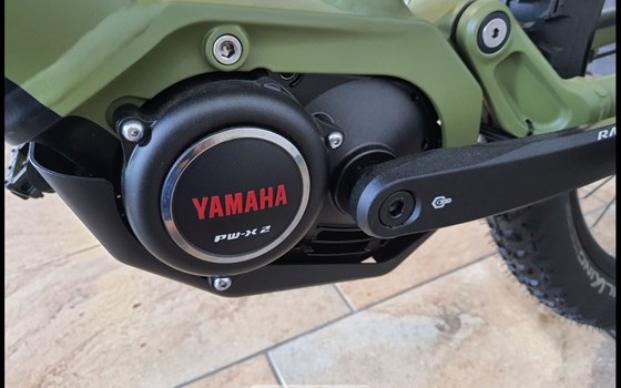 Neufahrzeug Raymon Trailray 170 - Bild 6