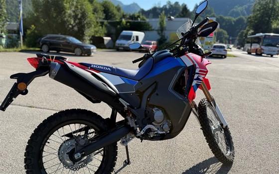 Neufahrzeug Honda CRF300 Rally - Bild 3