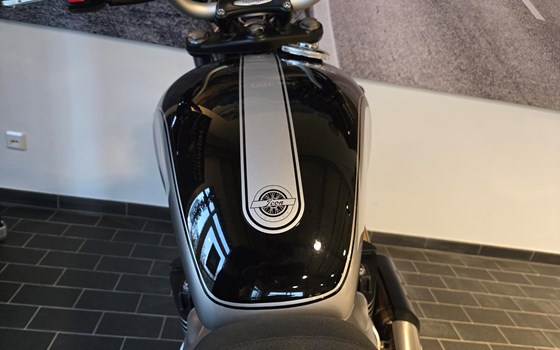 Gebrauchtmotorrad Triumph Scrambler 900 - Bild 11