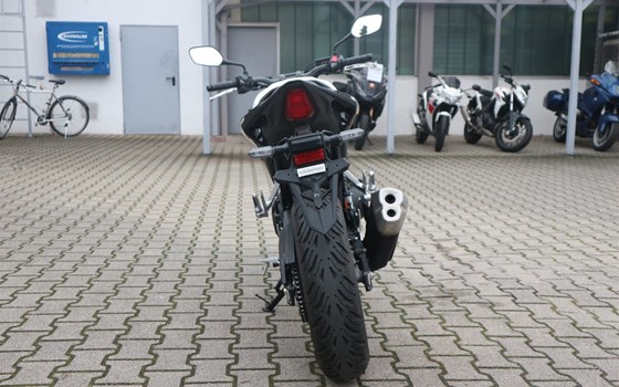 Gebrauchtmotorrad Honda CB500 Hornet - Bild 5