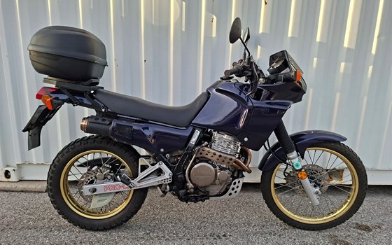 Gebrauchtmotorrad Honda NX 500 Dominator - Bild 1