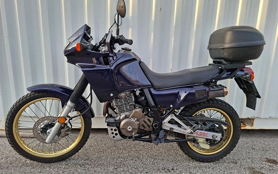 Gebrauchtmotorrad Honda NX 500 Dominator - Bild 2