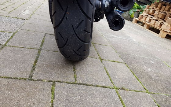 Gebrauchtmotorrad Harley-Davidson Softail Street Bob FXBB - Bild 5