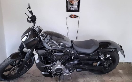 Gebrauchtmotorrad Harley-Davidson Nightster - Bild 4