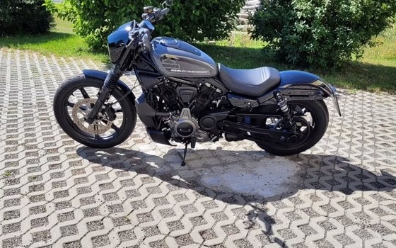 Gebrauchtmotorrad Harley-Davidson Nightster - Bild 5