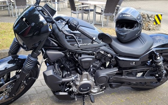 Gebrauchtmotorrad Harley-Davidson Nightster - Bild 6
