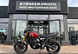 Gebrauchte Triumph Speed 400