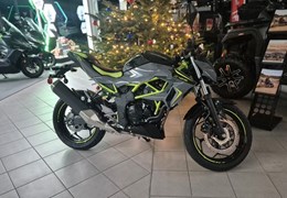 Neumotorrad Kawasaki Z125