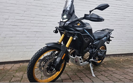 Neufahrzeug Voge DS800X Rally - Bild 1