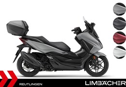 Neumotorrad Honda Forza 350