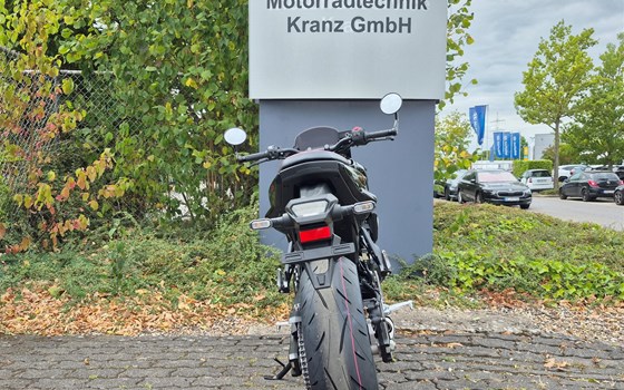 Neufahrzeug Suzuki GSX-8TT - Bild 4