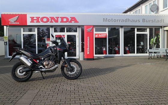 Neufahrzeug Honda CRF1100L Africa Twin ES - Bild 1