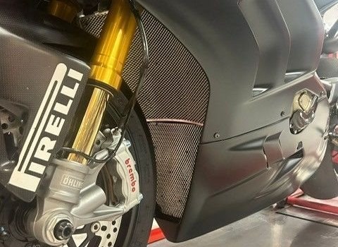 Gebrauchtmotorrad Ducati Panigale V4 R - Bild 2