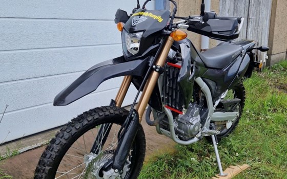 Gebrauchtmotorrad Honda CRF250L - Bild 1