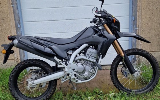 Gebrauchtmotorrad Honda CRF250L - Bild 3