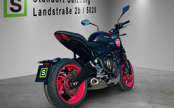 Neufahrzeug Triumph Trident 660 Triple Tribute - Bild 4