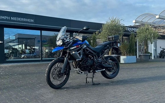 Gebrauchtmotorrad Triumph Tiger 800 XCx - Bild 1