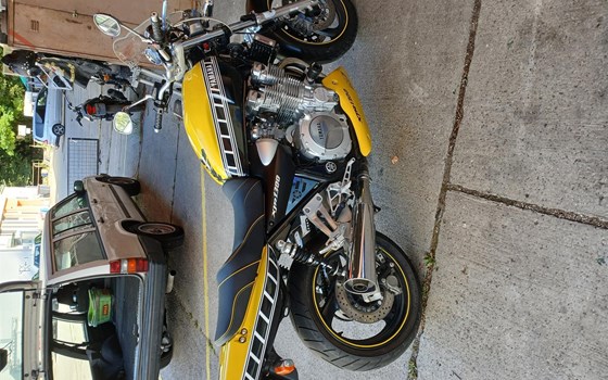 Gebrauchtmotorrad Yamaha XJR 1300 - Bild 3