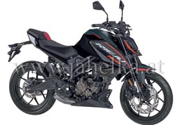 Neumotorrad Rieju NKD 125