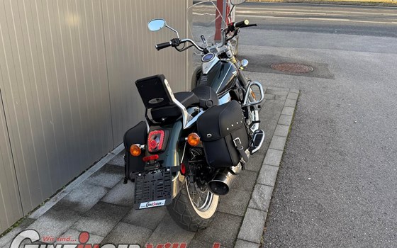 Gebrauchtmotorrad United Motors UM Renegade Classic Deluxe 300 - Bild 5