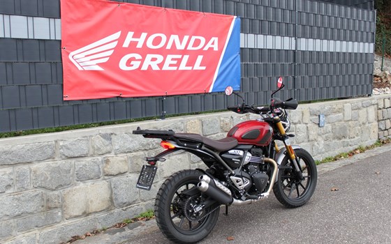 Gebrauchtmotorrad Triumph Scrambler 400 X - Bild 4