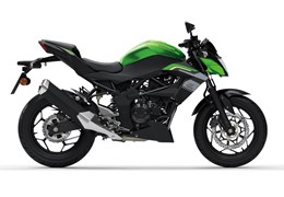 Neumotorrad Kawasaki Z125