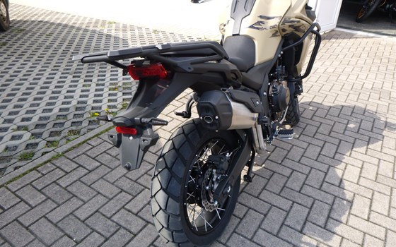 Neufahrzeug Voge DS625X - Bild 4