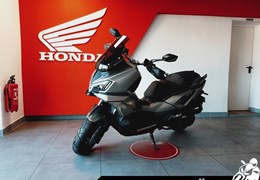 Neumotorrad Sym ADX 300