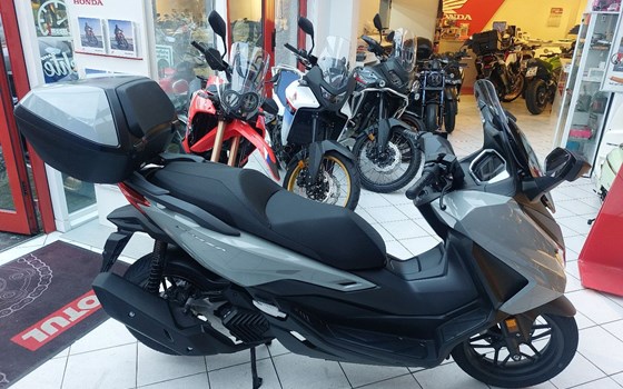 Neufahrzeug Honda Forza 125 - Bild 4