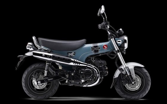 Neufahrzeug Honda Dax 125 - Bild 1