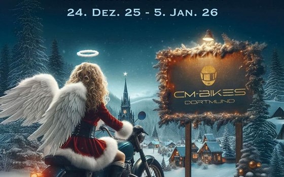 Neufahrzeug Honda ADV350 - Bild 10