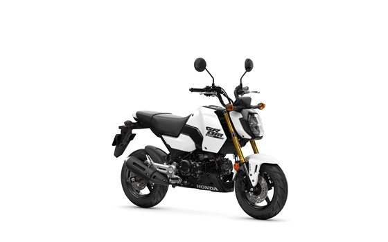 Neufahrzeug Honda MSX125 Grom - Bild 1