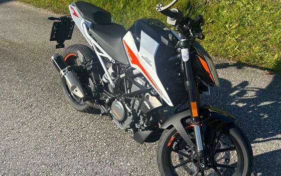 Gebrauchtmotorrad KTM 390 Duke - Bild 1