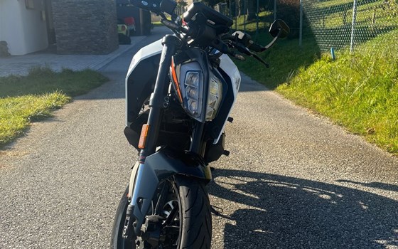Gebrauchtmotorrad KTM 390 Duke - Bild 5
