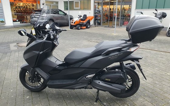 Gebrauchtmotorrad Honda Forza 125 - Bild 13
