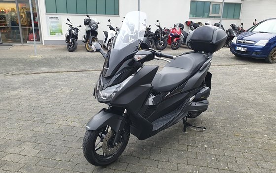 Gebrauchtmotorrad Honda Forza 125 - Bild 15