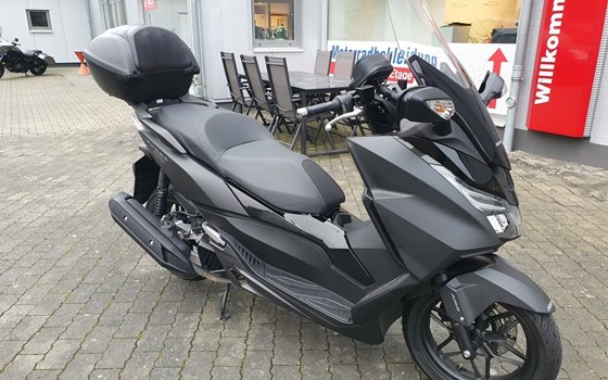 Gebrauchtmotorrad Honda Forza 125 - Bild 2