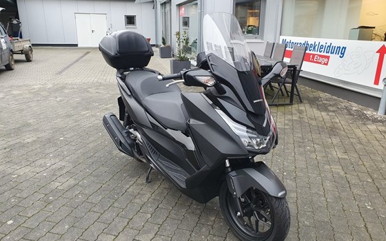 Gebrauchtmotorrad Honda Forza 125 - Bild 3