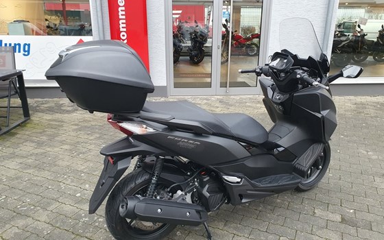 Gebrauchtmotorrad Honda Forza 125 - Bild 5
