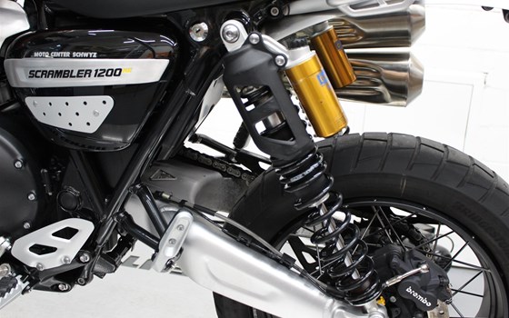 Motorrad Occasion Triumph Scrambler 1200 XE Gold Line - Bild 5