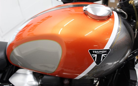 Motorrad Occasion Triumph Scrambler 1200 XE Gold Line - Bild 7