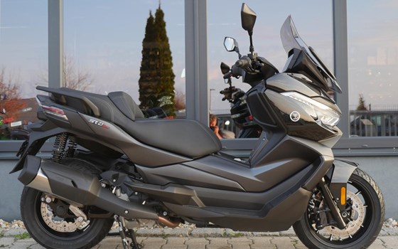 Neufahrzeug Voge SR4 350 LUXURY - Bild 1