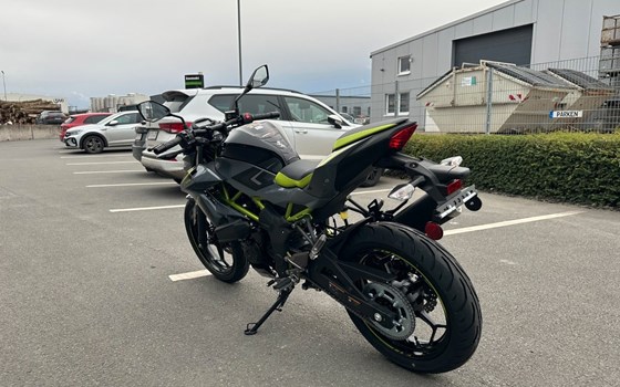 Neufahrzeug Kawasaki Z125 - Bild 5
