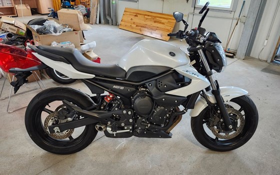 Gebrauchtmotorrad Yamaha XJ6 - Bild 1