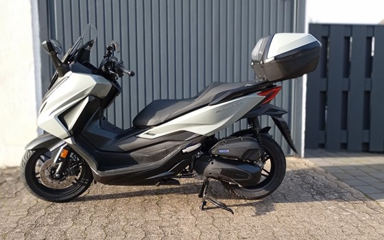 Gebrauchtmotorrad Honda Forza 125 - Bild 1