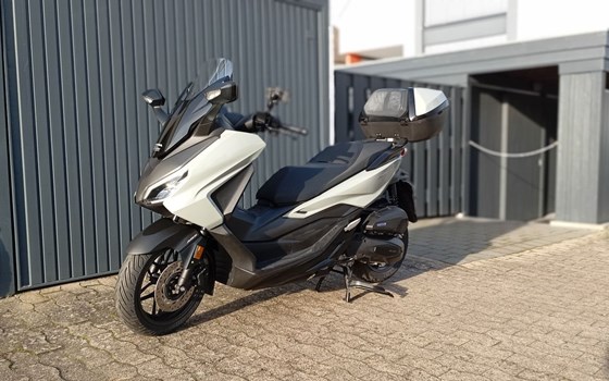 Gebrauchtmotorrad Honda Forza 125 - Bild 2