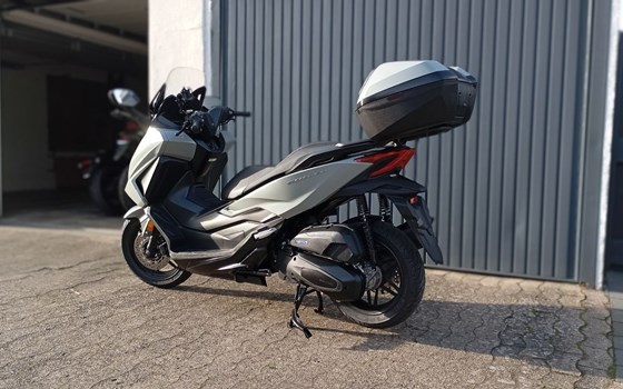 Gebrauchtmotorrad Honda Forza 125 - Bild 3