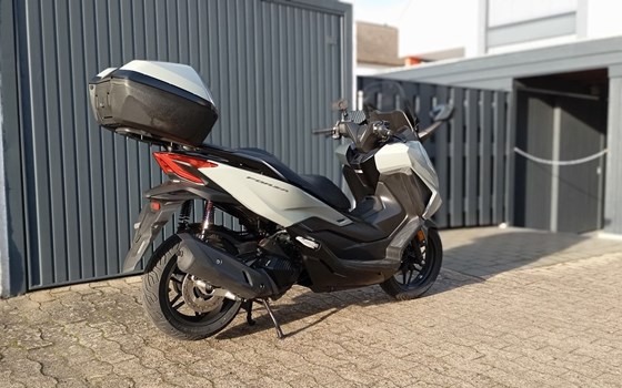 Gebrauchtmotorrad Honda Forza 125 - Bild 7