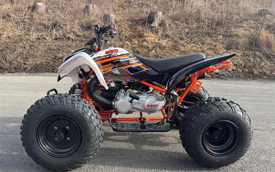 Neufahrzeug Kayo A 180 - Bild 10