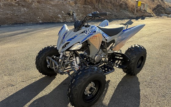 Neufahrzeug Mikilon Pentora ATV 250 - Bild 12